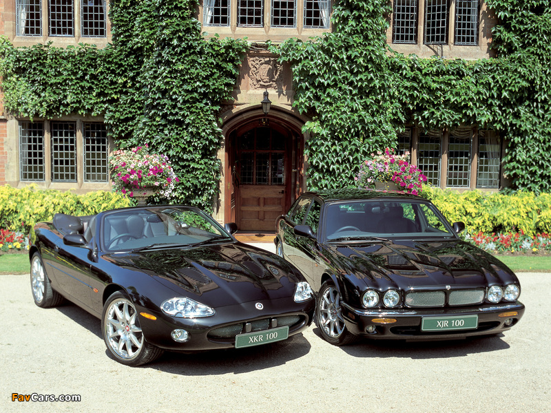 Jaguar photos (800 x 600)