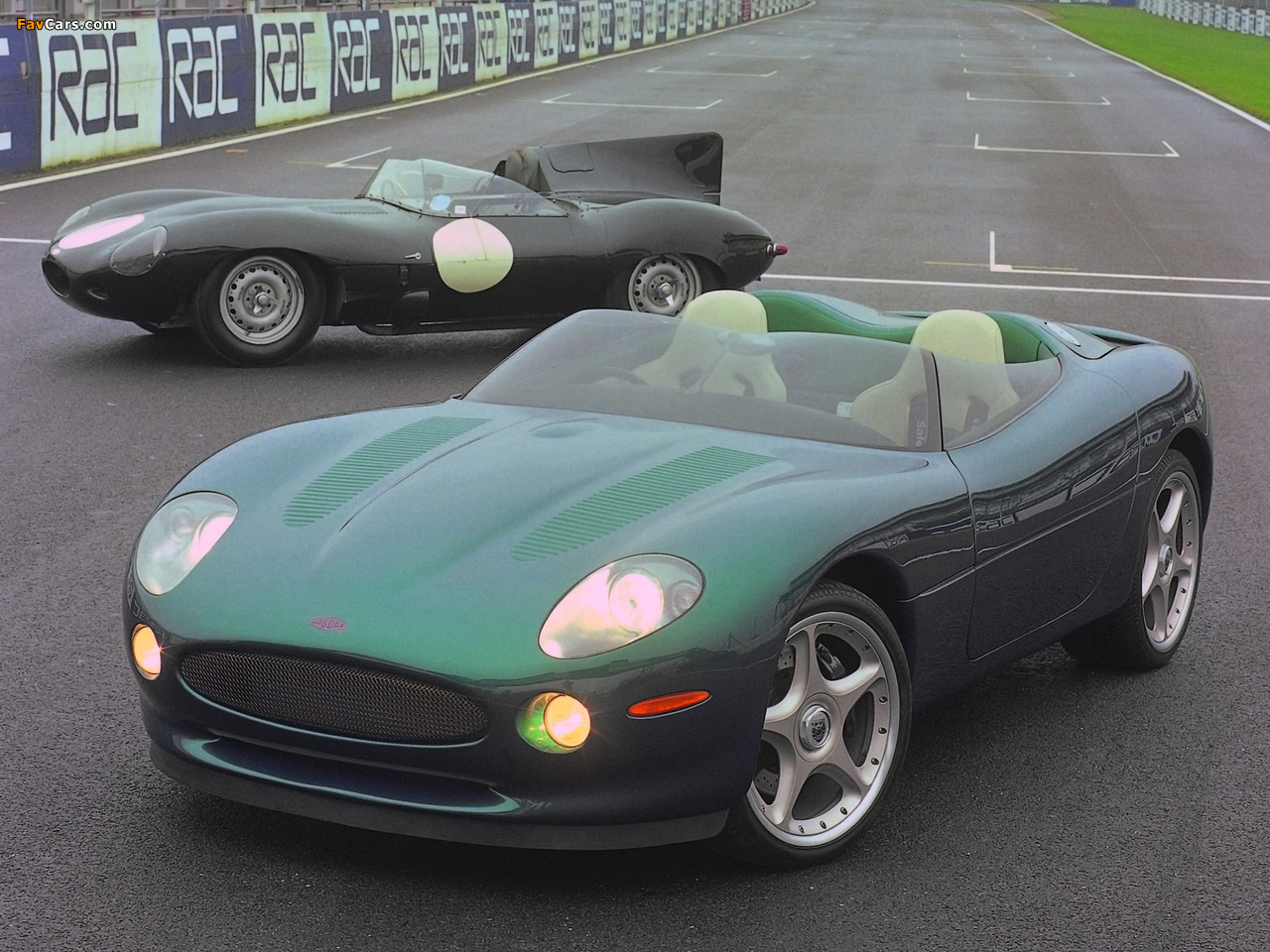 Jaguar pictures (1280 x 960)