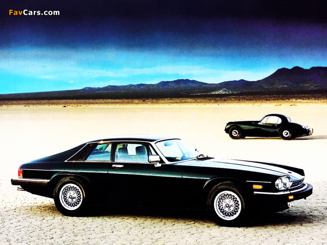 Photos of Jaguar (640 x 480)