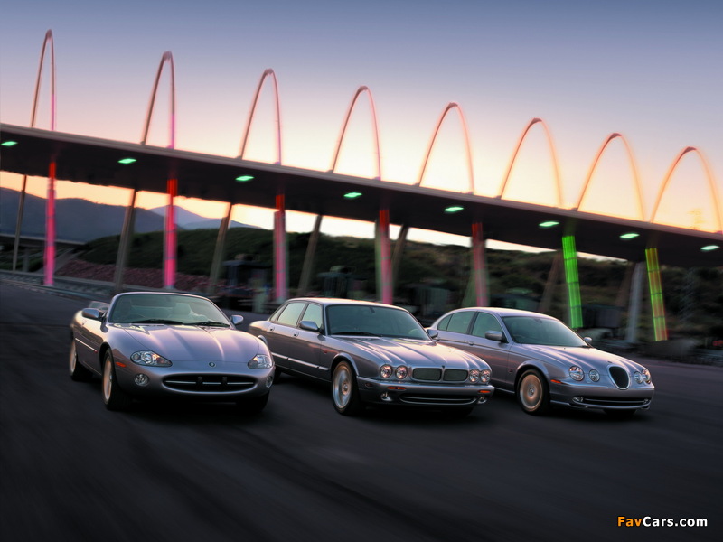 Photos of Jaguar (800 x 600)