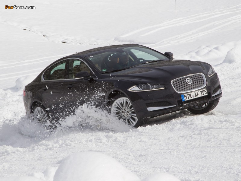 Jaguar XF 3.0 AWD 2012 pictures (800 x 600)