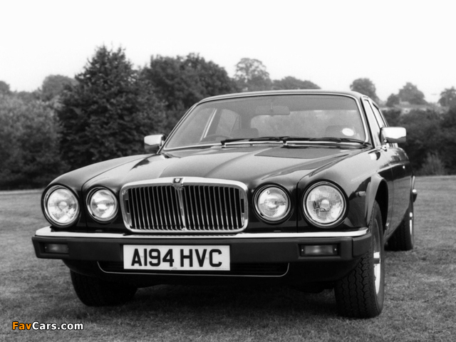 Images of Jaguar XJ (Series III) 1979–92 (640 x 480)