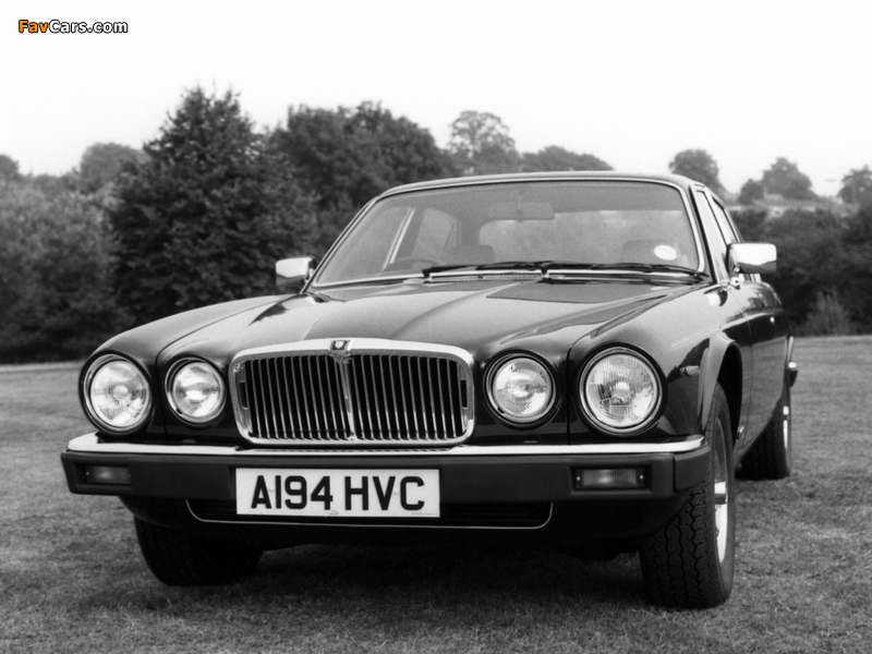 Images of Jaguar XJ (Series III) 1979–92 (800 x 600)