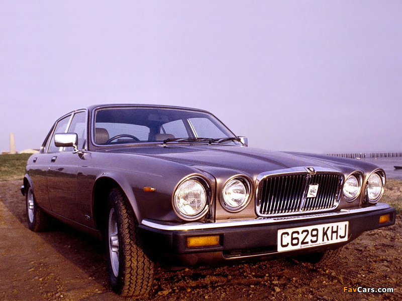 Images of Jaguar XJ (Series III) 1979–92 (800 x 600)