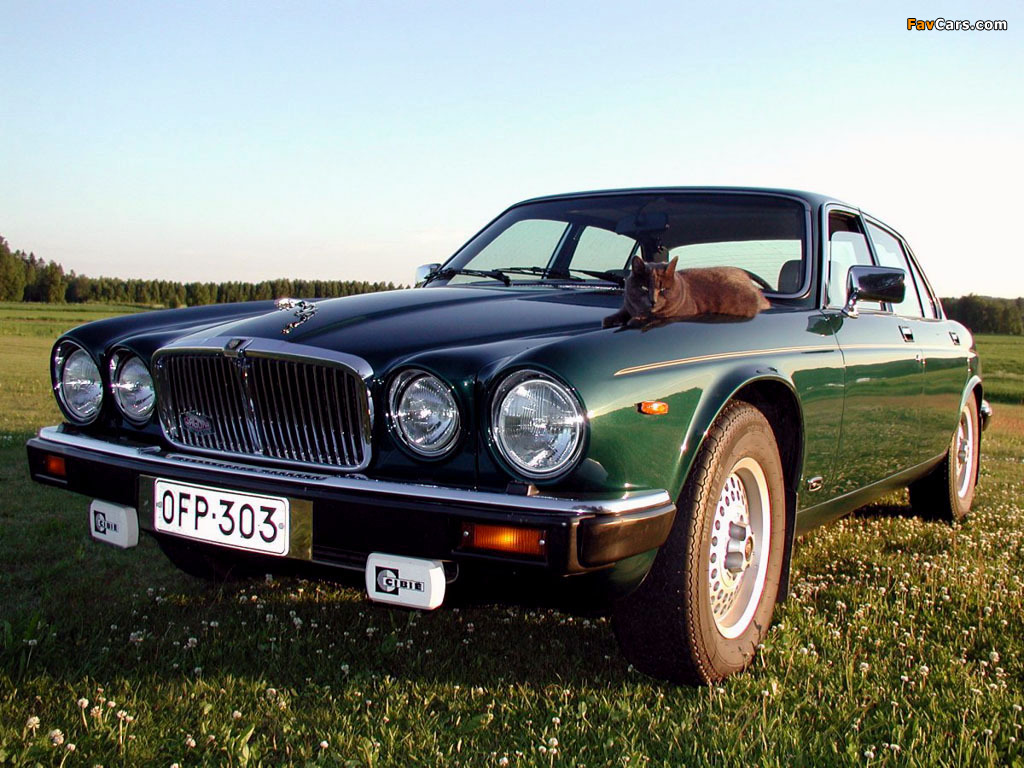 Images of Jaguar XJ EU-spec (Series III) 1979–92 (1024 x 768)