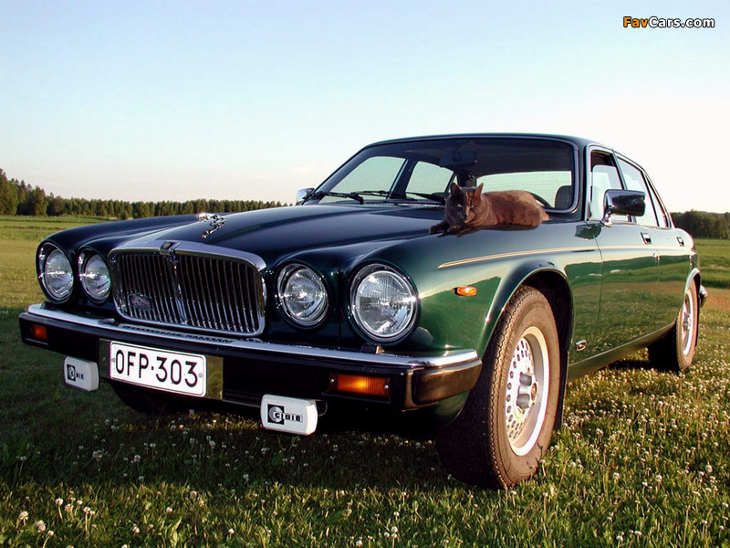 Images of Jaguar XJ EU-spec (Series III) 1979–92 (800 x 600)