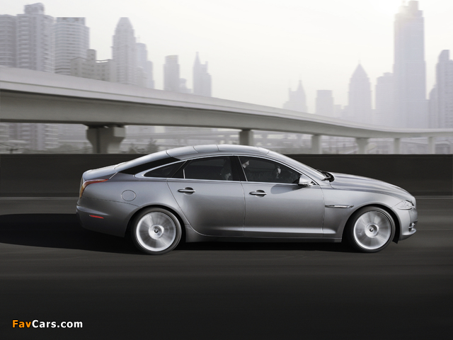 Images of Jaguar XJ (X351) 2009–15 (640 x 480)