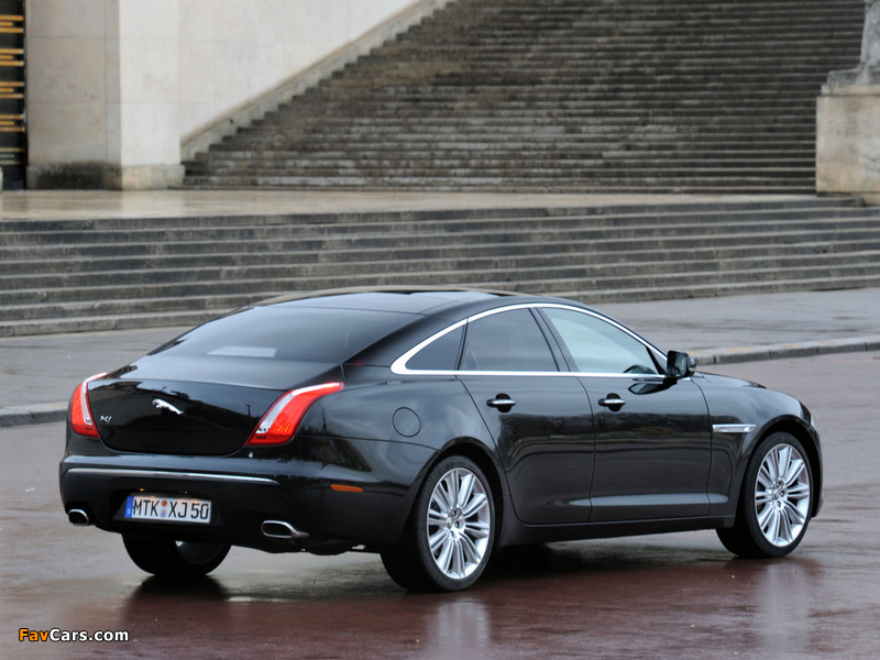 Images of Jaguar XJ (X351) 2009 (800 x 600)