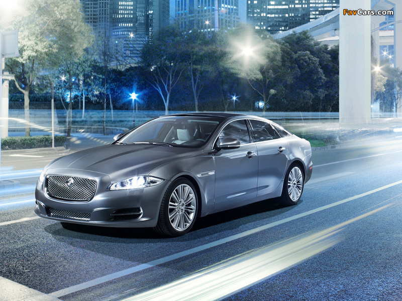 Images of Jaguar XJ (X351) 2009 (800 x 600)