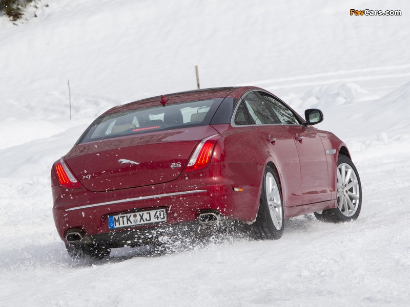 Images of Jaguar XJ AWD (X351) 2012 (800 x 600)