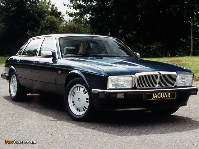 Jaguar Sovereign (XJ40) 1986–94 pictures (640 x 480)