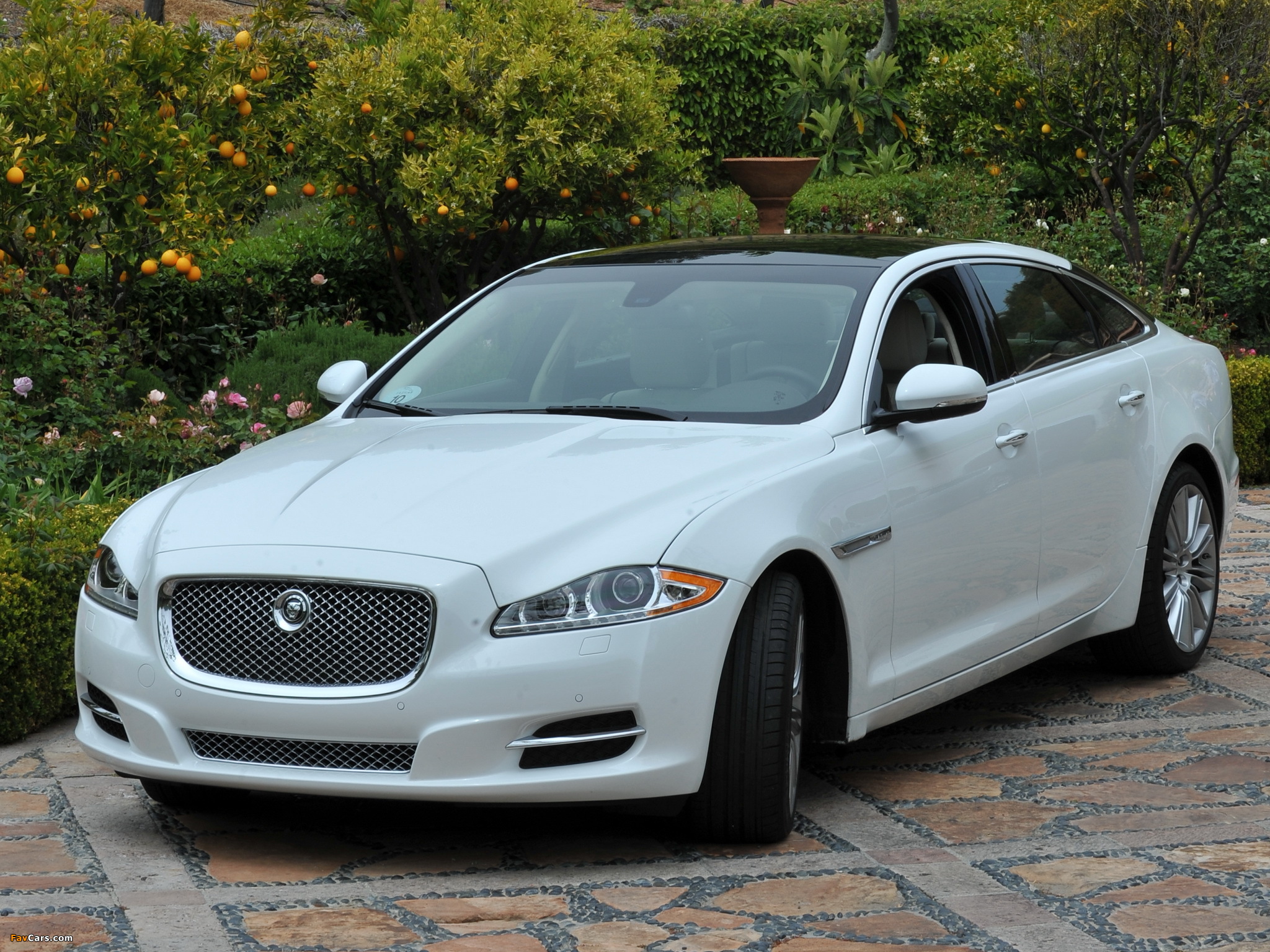 Jaguar XJL US-spec (X351) 2010 pictures (2048 x 1536)