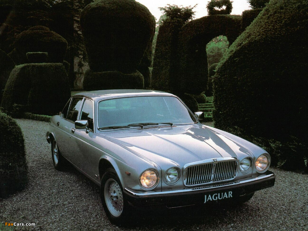 Photos of Jaguar XJ (Series III) 1979–92 (1024 x 768)