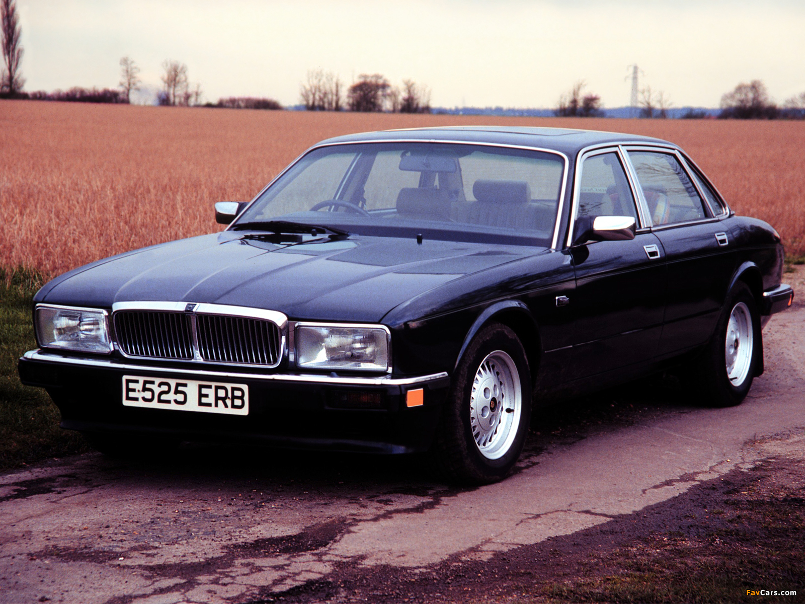Pictures of Jaguar Sovereign (XJ40) 1986–94 (1600 x 1200)