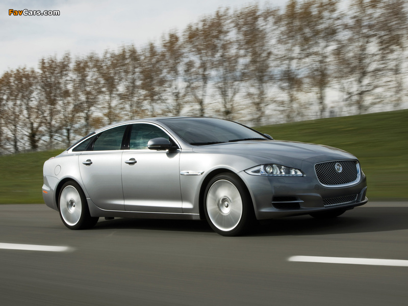 Pictures of Jaguar XJ (X351) 2009 (800 x 600)