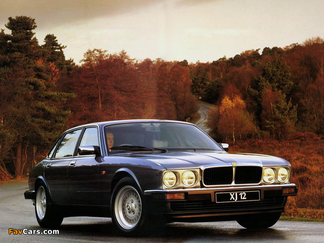 Jaguar XJ12 (XJ81) 1993–94 wallpapers (640 x 480)