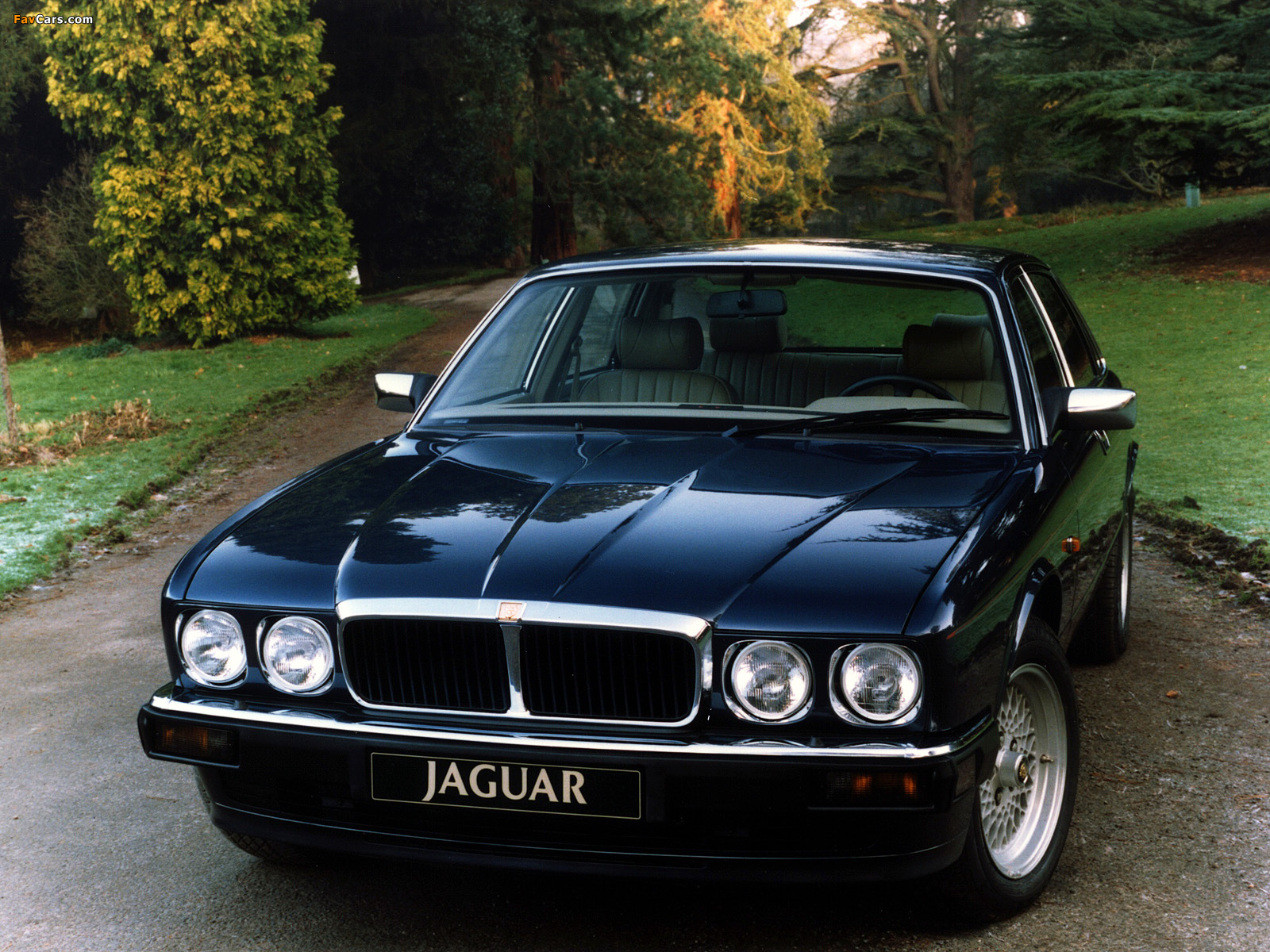 Jaguar XJ12 (XJ81) 1993–94 wallpapers (1600 x 1200)