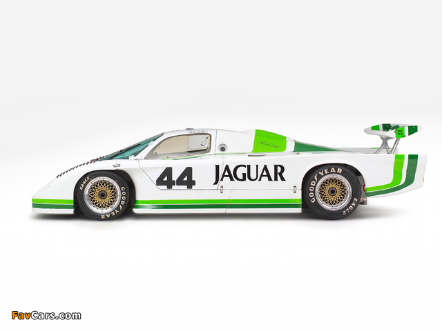 Jaguar XJR5 1982–85 pictures (640 x 480)
