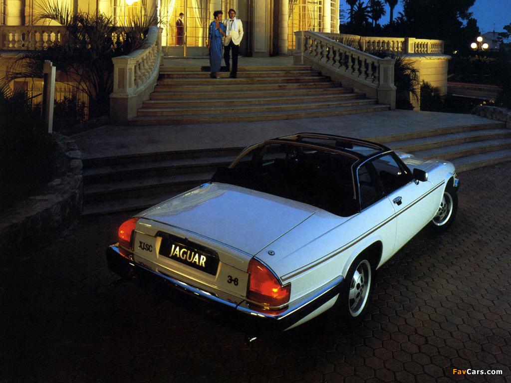 Images of Jaguar XJ-SC 1983–88 (1024 x 768)
