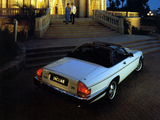 Images of Jaguar XJ-SC 1983–88