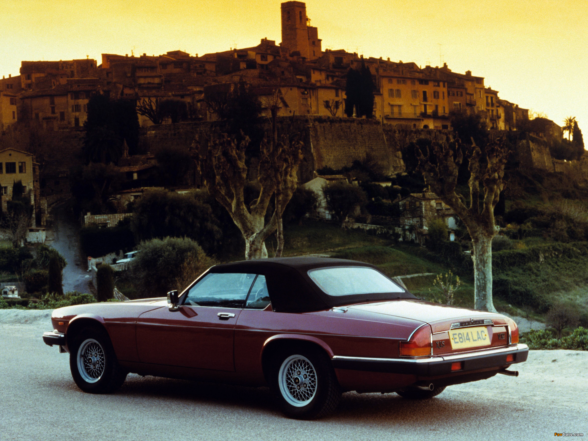Images of Jaguar XJ-S Convertible 1983–91 (2048 x 1536)