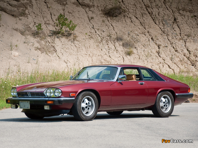 Jaguar XJ-S 1975–91 images (640 x 480)