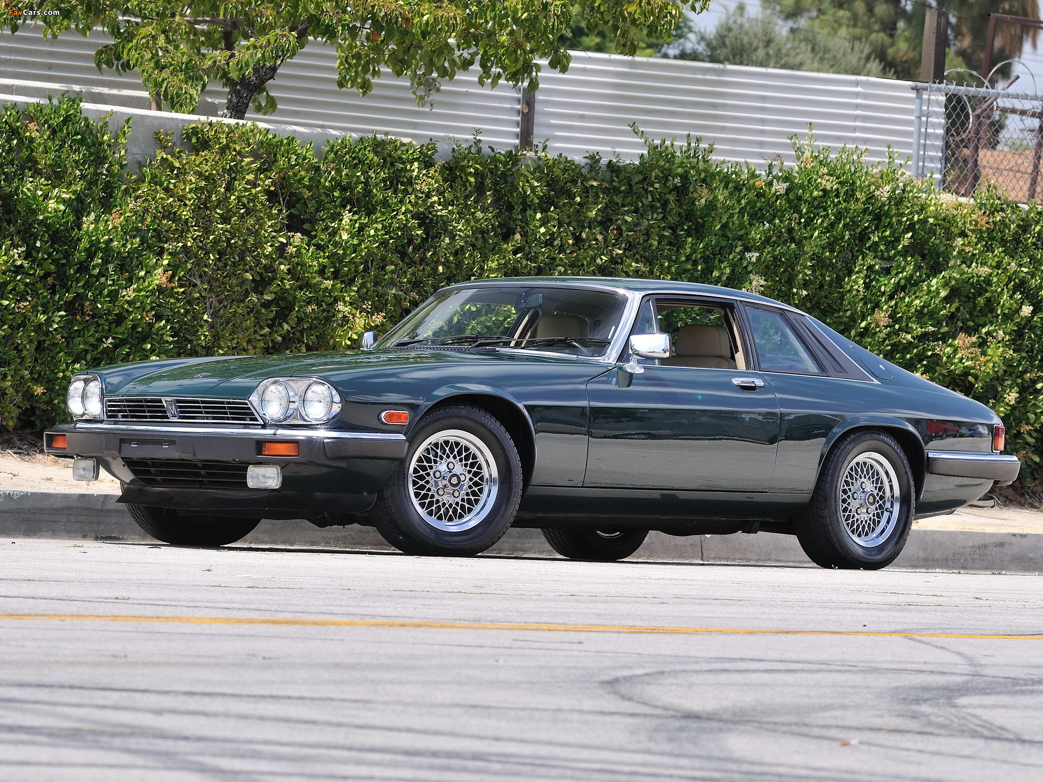Jaguar XJ-S US-spec 1975–91 photos (2048 x 1536)