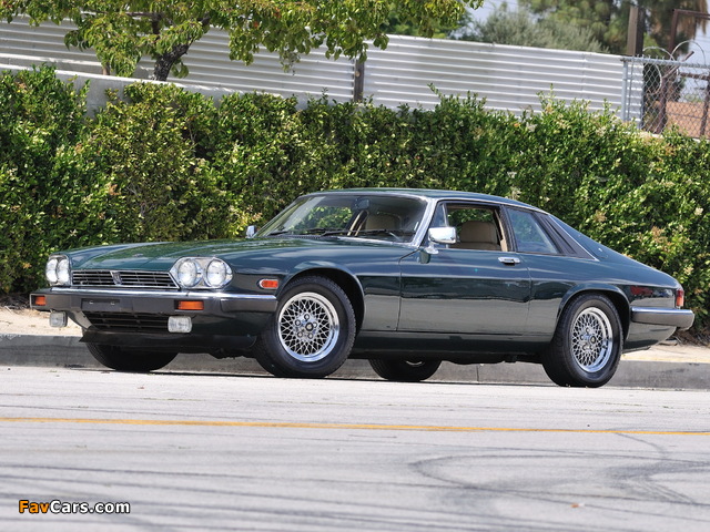 Jaguar XJ-S US-spec 1975–91 photos (640 x 480)