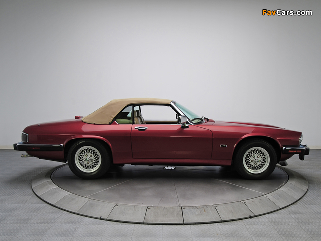 Jaguar XJS Convertible 1991–96 photos (640 x 480)