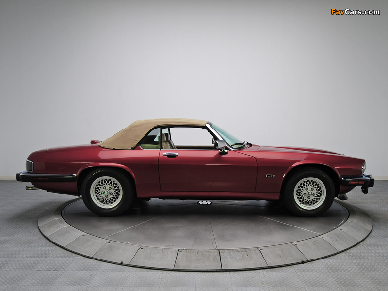 Jaguar XJS Convertible 1991–96 photos (800 x 600)