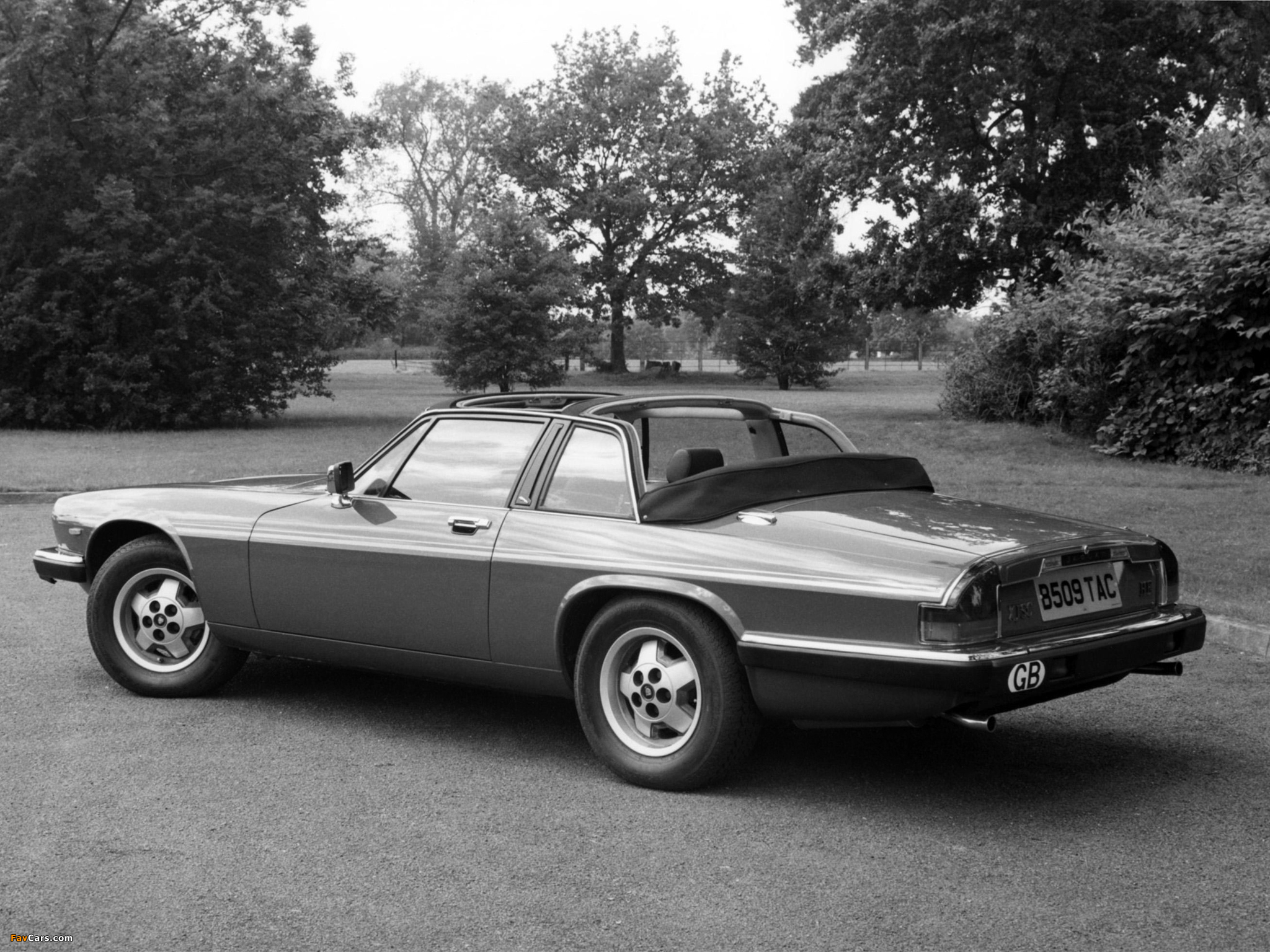 Photos of Jaguar XJ-SC H.E. 1983–88 (2048 x 1536)