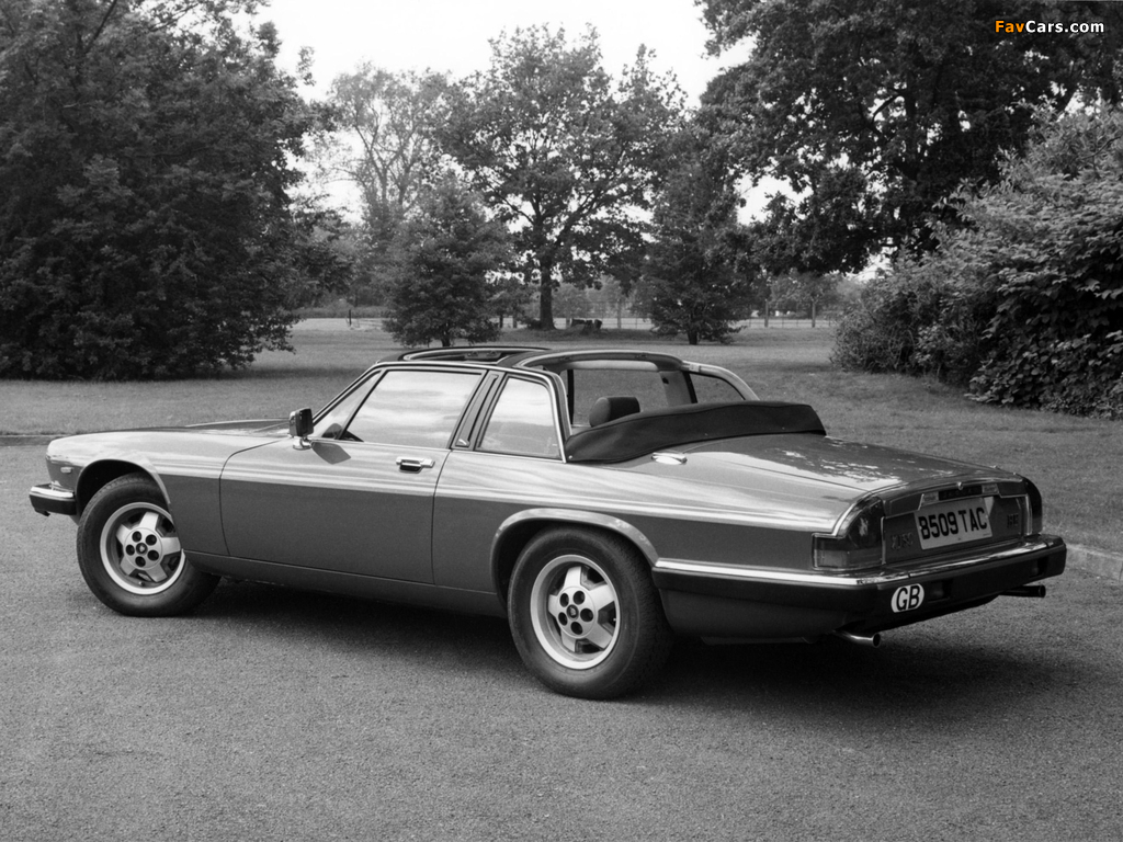 Photos of Jaguar XJ-SC H.E. 1983–88 (1024 x 768)