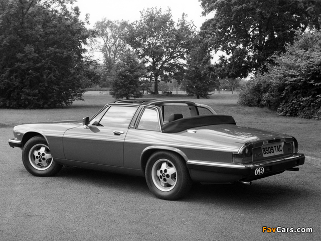 Photos of Jaguar XJ-SC H.E. 1983–88 (640 x 480)