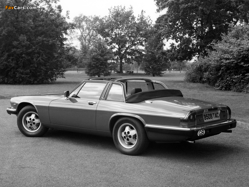 Photos of Jaguar XJ-SC H.E. 1983–88 (800 x 600)