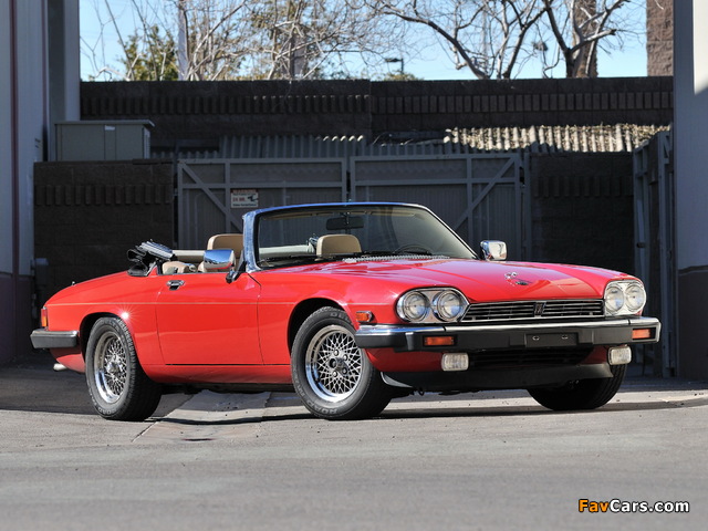 Photos of Jaguar XJ-S Convertible 1983–91 (640 x 480)