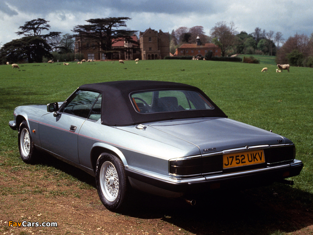 Pictures of Jaguar XJS Convertible 1991–96 (640 x 480)