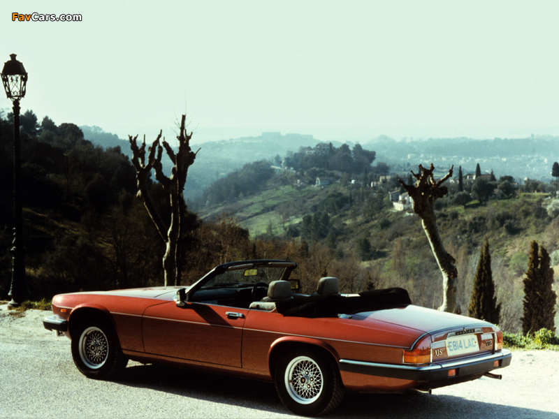 Jaguar XJ-S Convertible 1983–91 wallpapers (800 x 600)