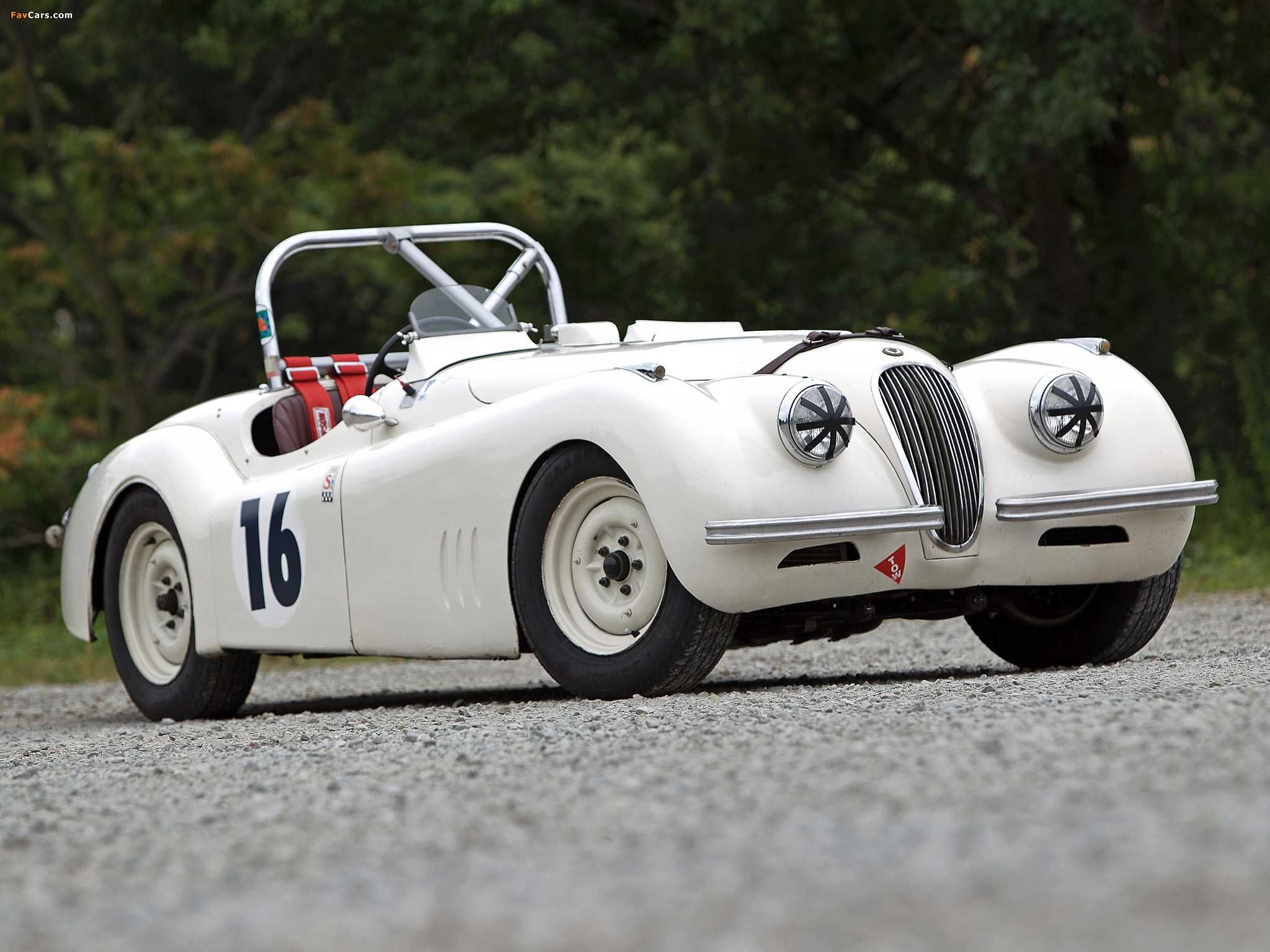 Images of Jaguar XK120 Competition Roadster 1950 (2048 x 1536)