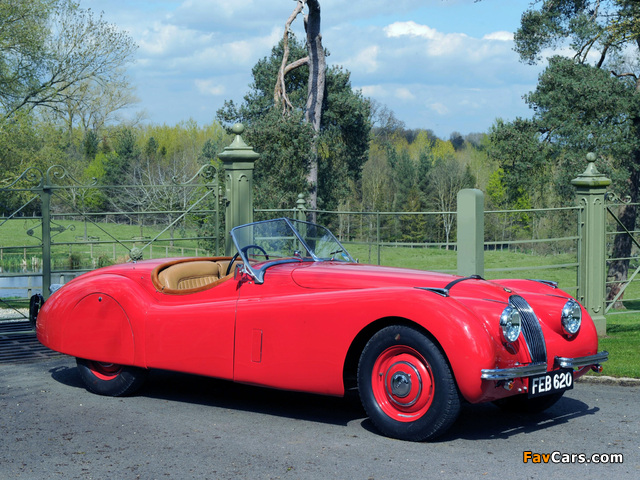 Jaguar XK120 Roadster 1949–54 images (640 x 480)