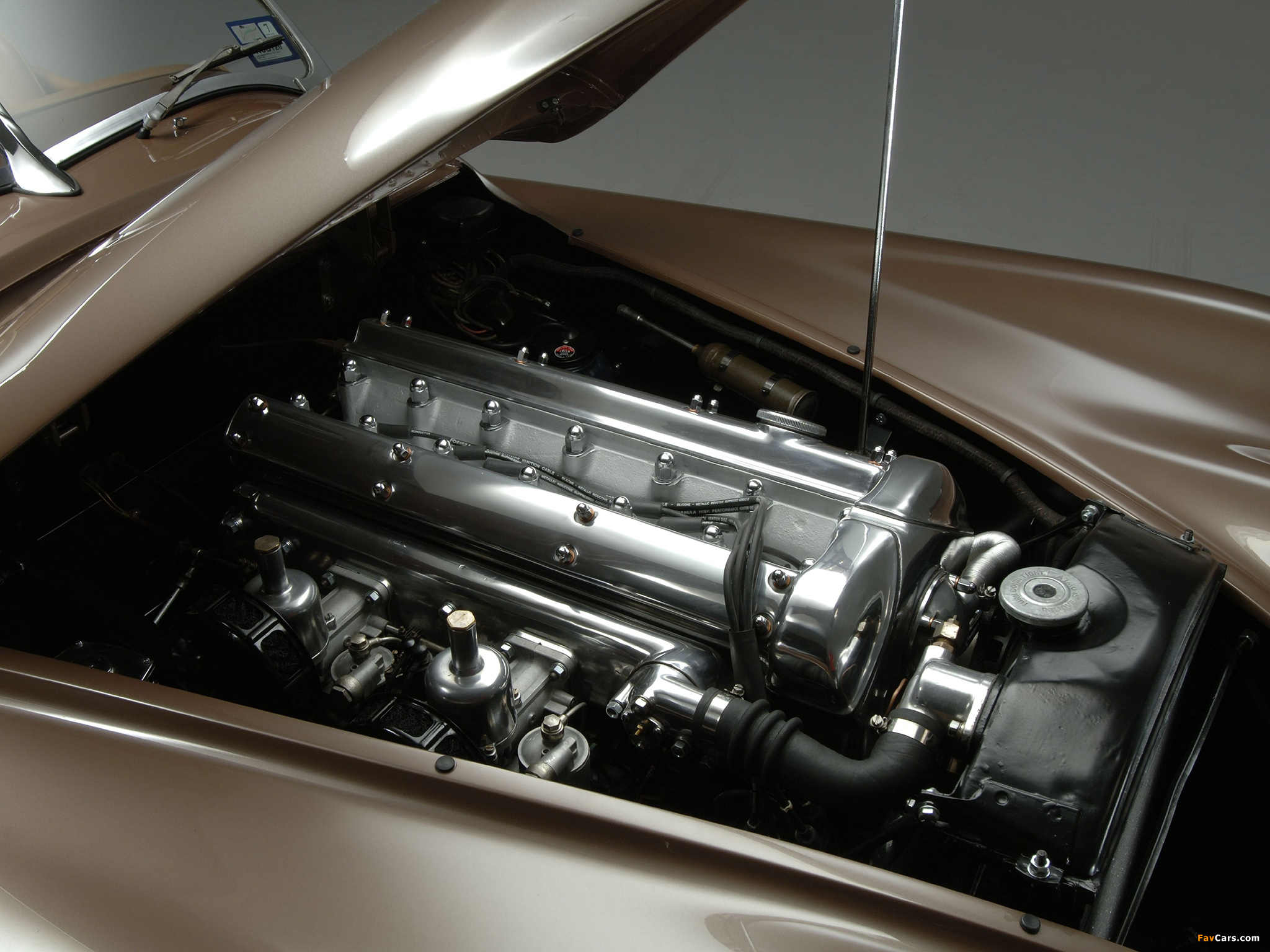 Jaguar XK120 Roadster 1949–54 images (2048 x 1536)