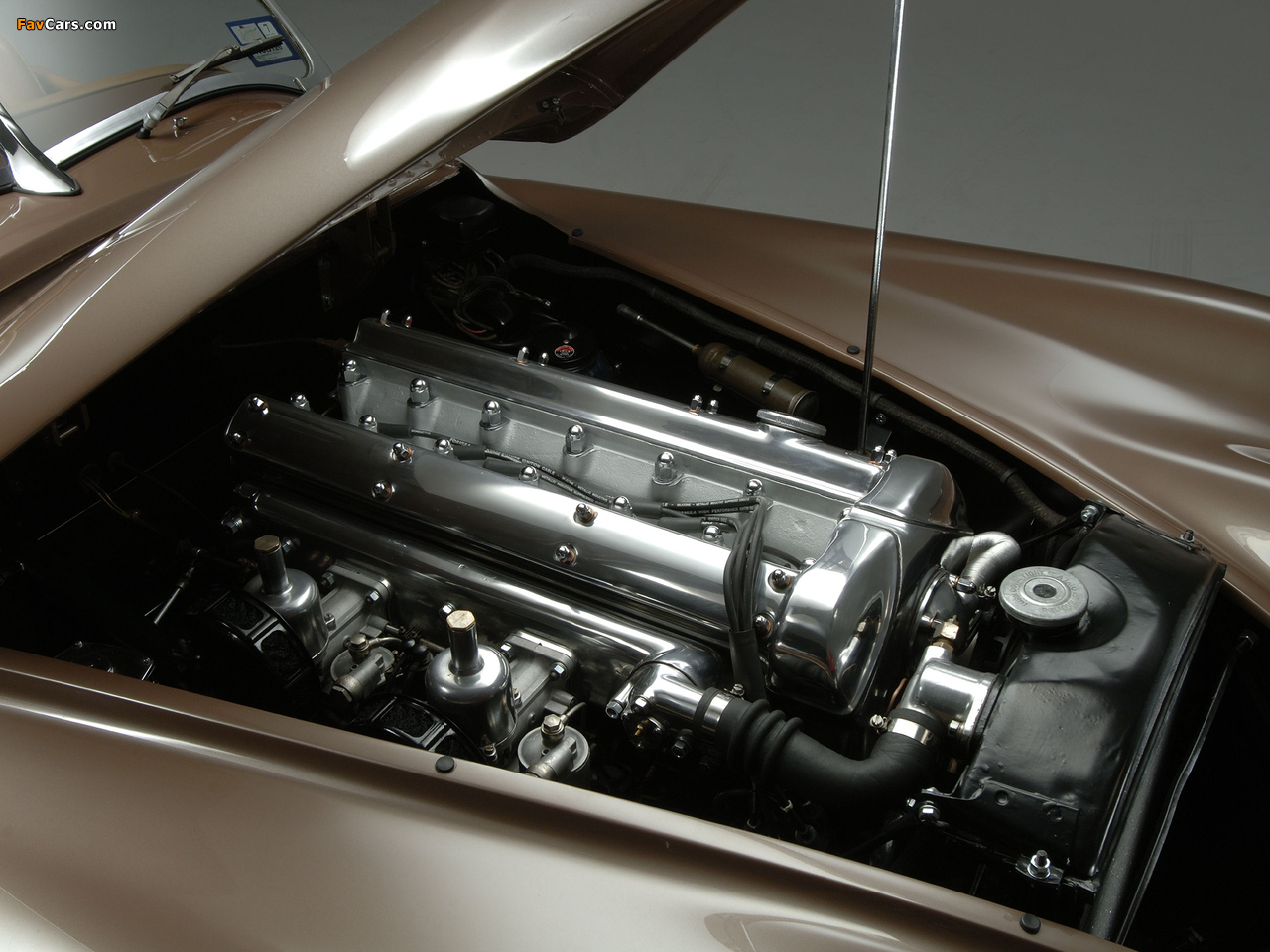 Jaguar XK120 Roadster 1949–54 images (1280 x 960)