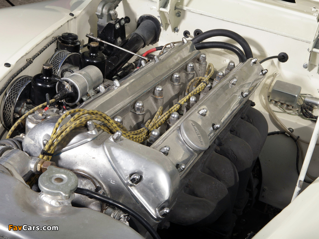 Jaguar XK120 Roadster 1949–54 photos (640 x 480)