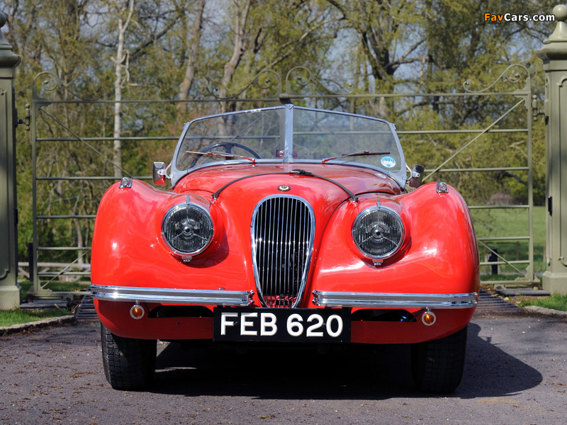 Jaguar XK120 Roadster 1949–54 photos (800 x 600)