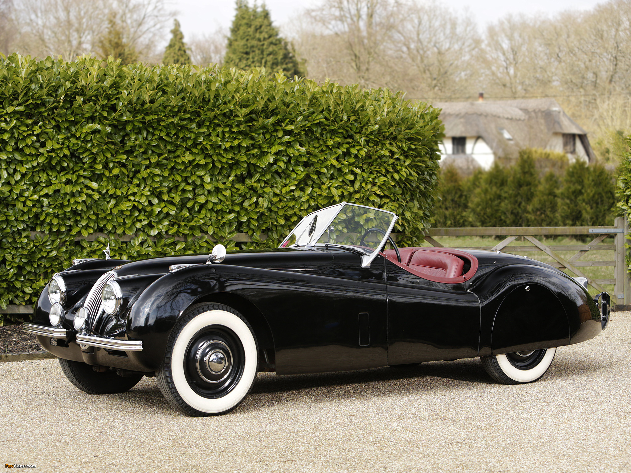 Jaguar XK120 Roadster 1949–54 photos (2048 x 1536)