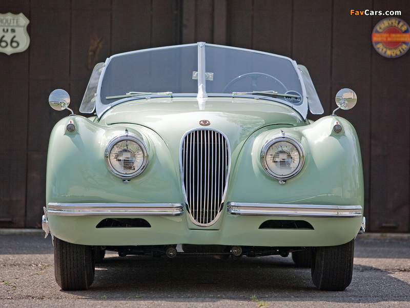 Jaguar XK120 Roadster 1949–54 pictures (800 x 600)