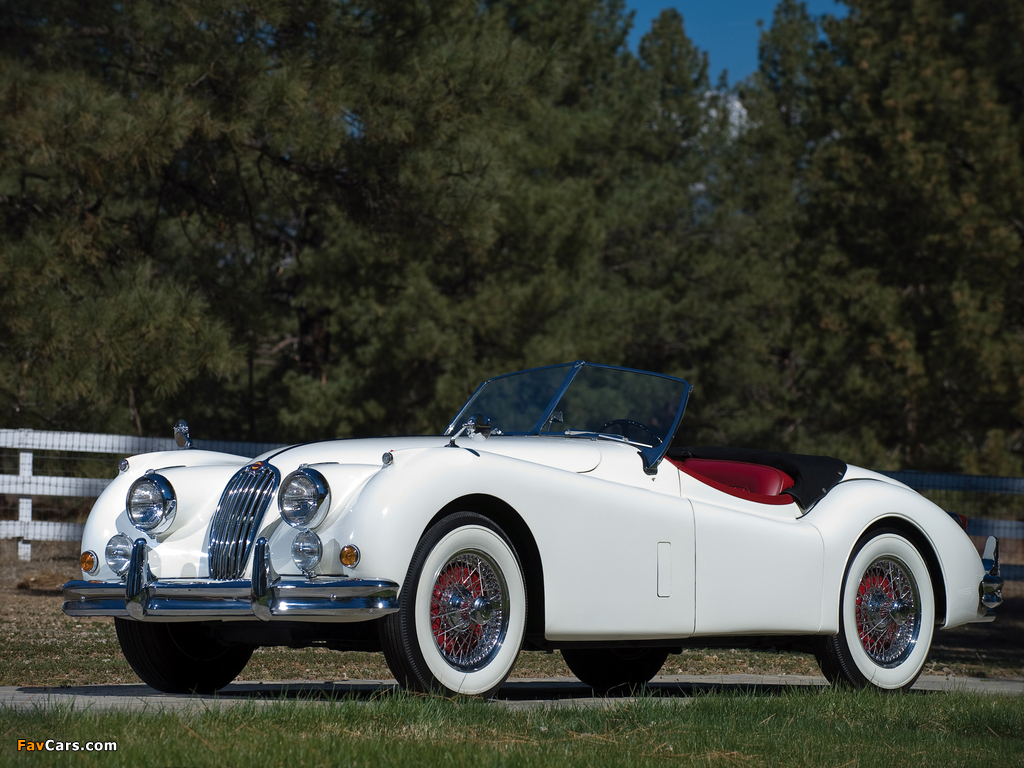 Jaguar XK140 Roadster 1954–57 images (1024 x 768)