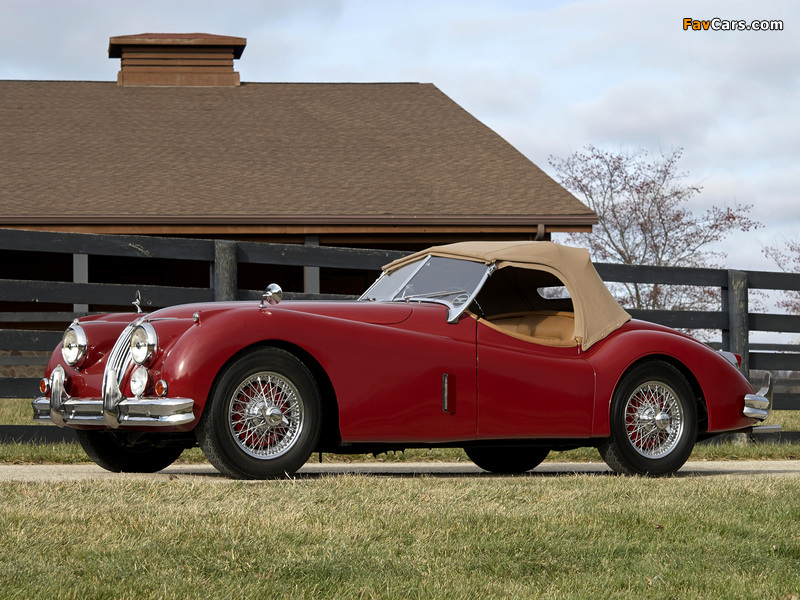 Jaguar XK140 Roadster 1954–57 images (800 x 600)