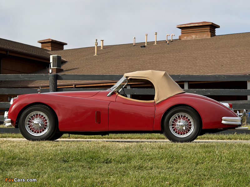 Jaguar XK140 Roadster 1954–57 images (800 x 600)