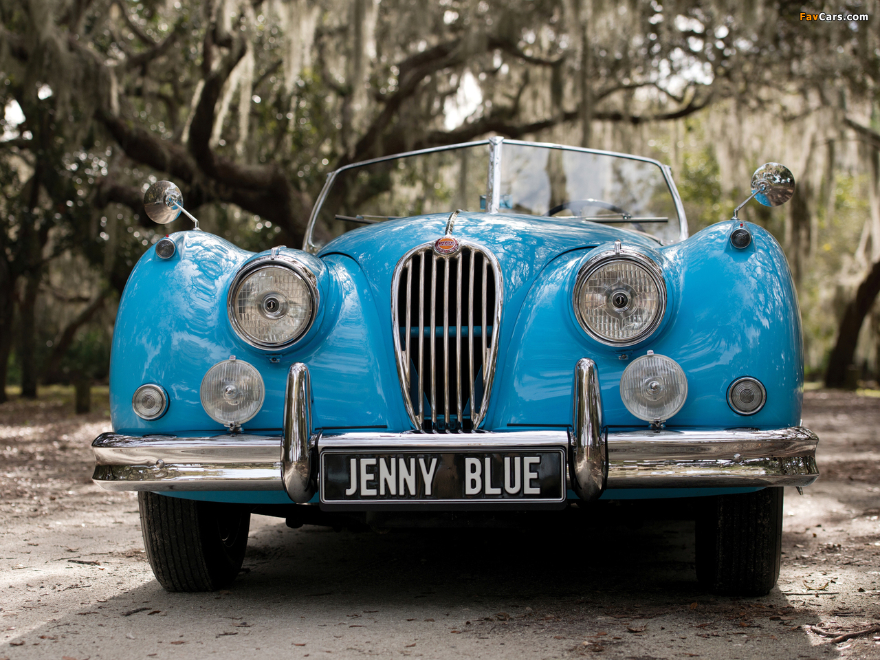 Jaguar XK140 Roadster 1954–57 photos (1280 x 960)