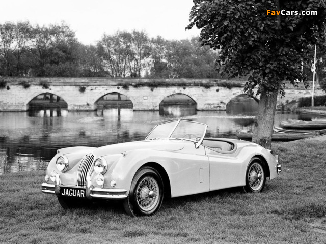 Jaguar XK140 Roadster 1954–57 pictures (640 x 480)